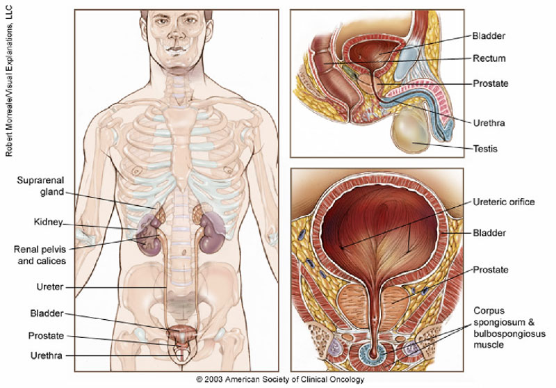 Radiation Oncology HealthCare